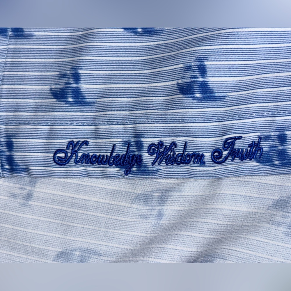 Robert Graham Hockney Cotton Stretch Skull Pinstripe Classic Fit Button Down SZM - Picture 9 of 13